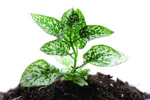 市面上DevOps方案全面对比